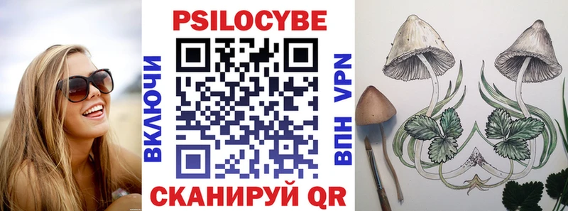 Галлюциногенные грибы мицелий Агидель